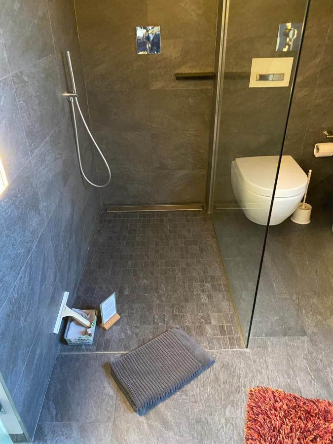 Apartment Mit Dachloggia Saarlouis Eksteriør billede