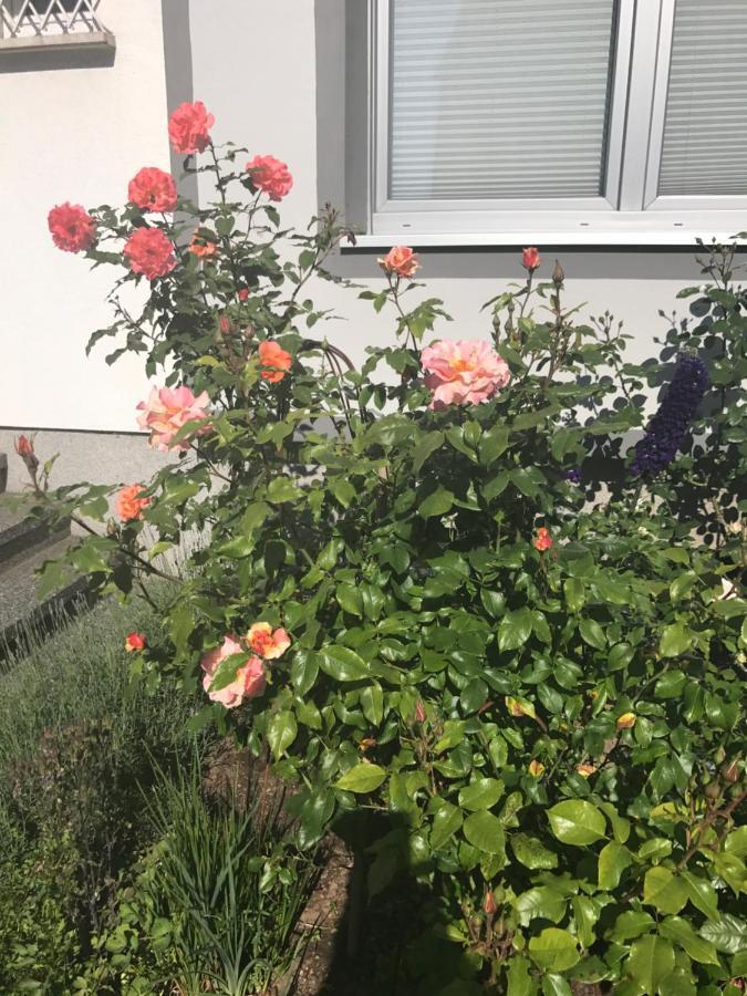 Apartment Mit Dachloggia Saarlouis Eksteriør billede