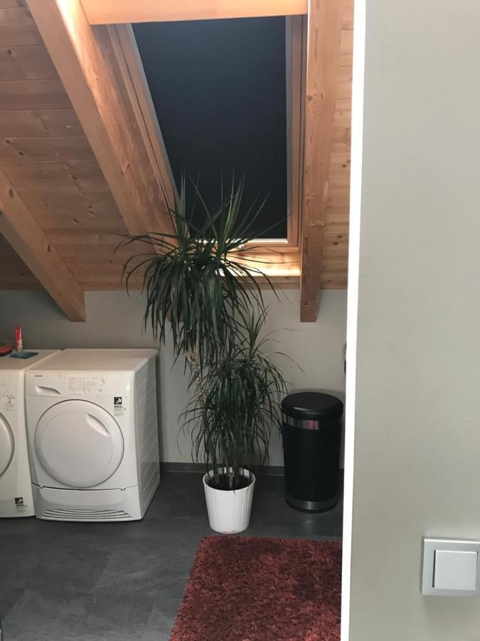 Apartment Mit Dachloggia Saarlouis Eksteriør billede